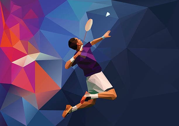 Socotec Badminton 2
